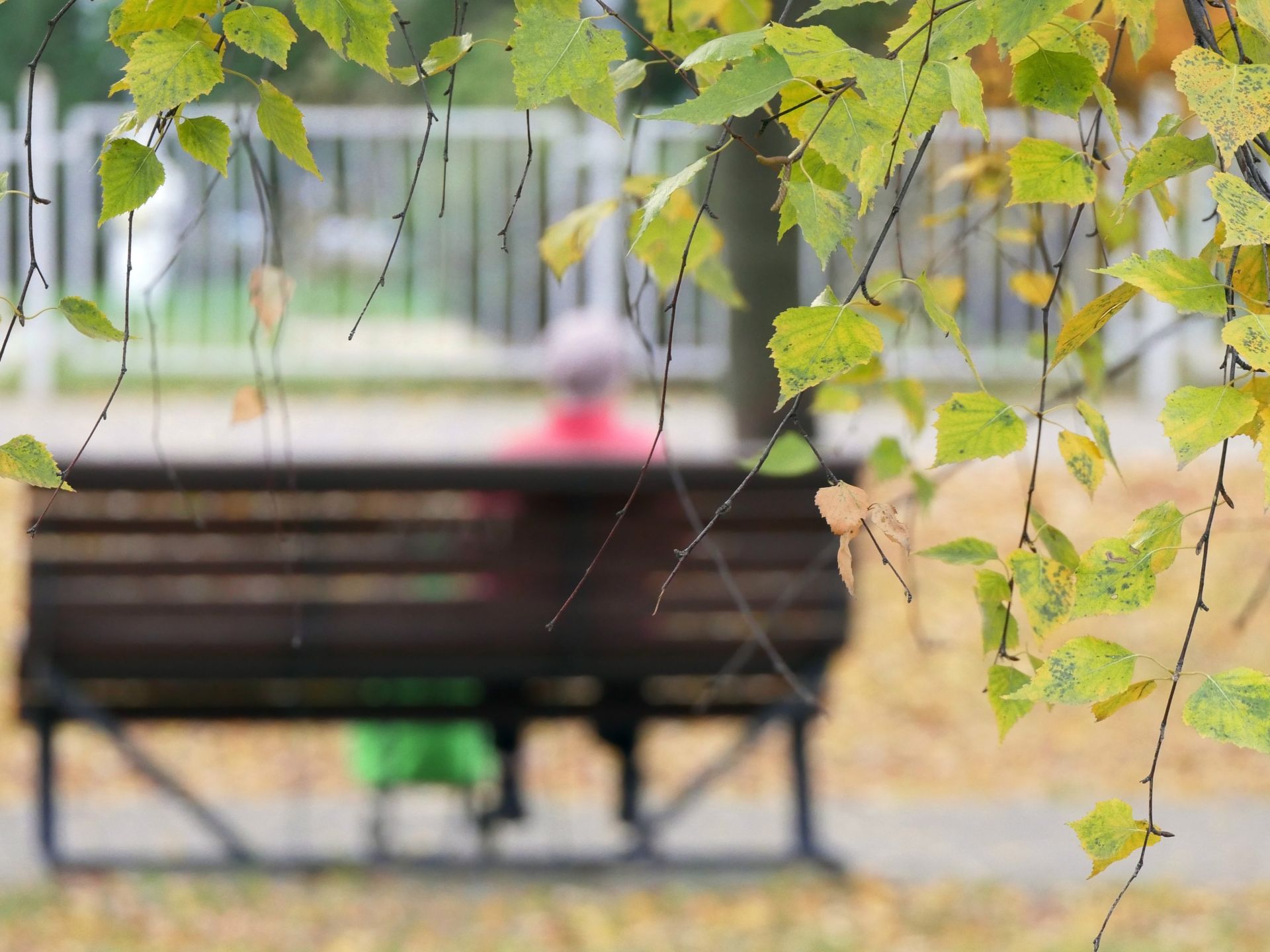 Октябрь ахыры, димәссең...