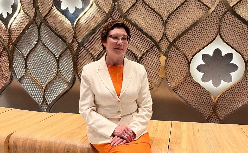 Тормыш баскычлары