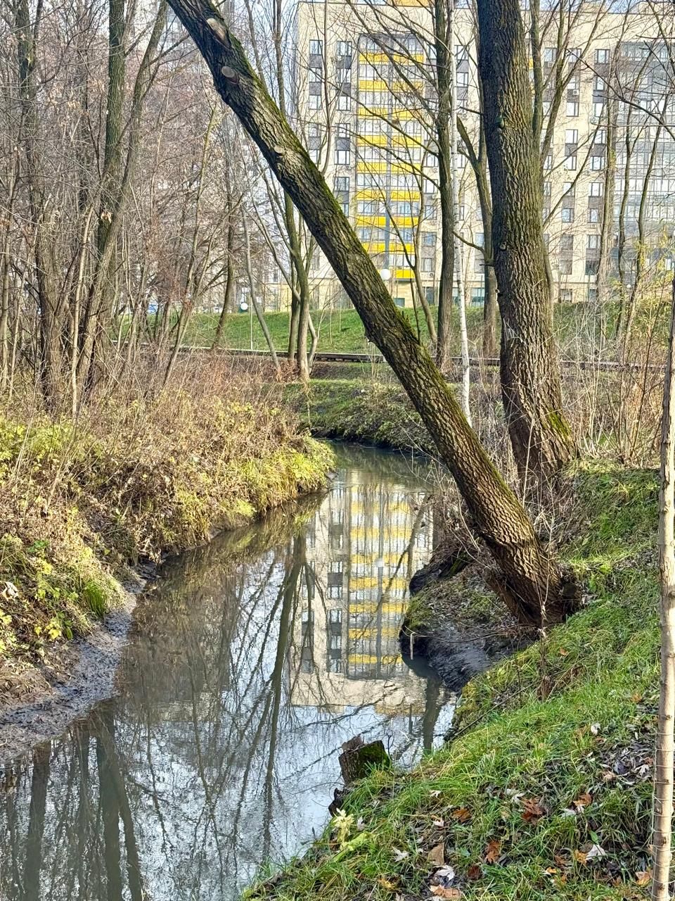 Пычрак аякка иярсә, декабрьгә кадәр суыклар булмас?!