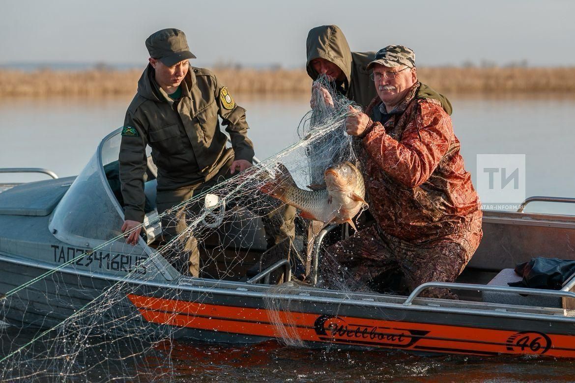 Ашлы кармак: Татарстанда балыкчылык тармагы ни хәлдә?