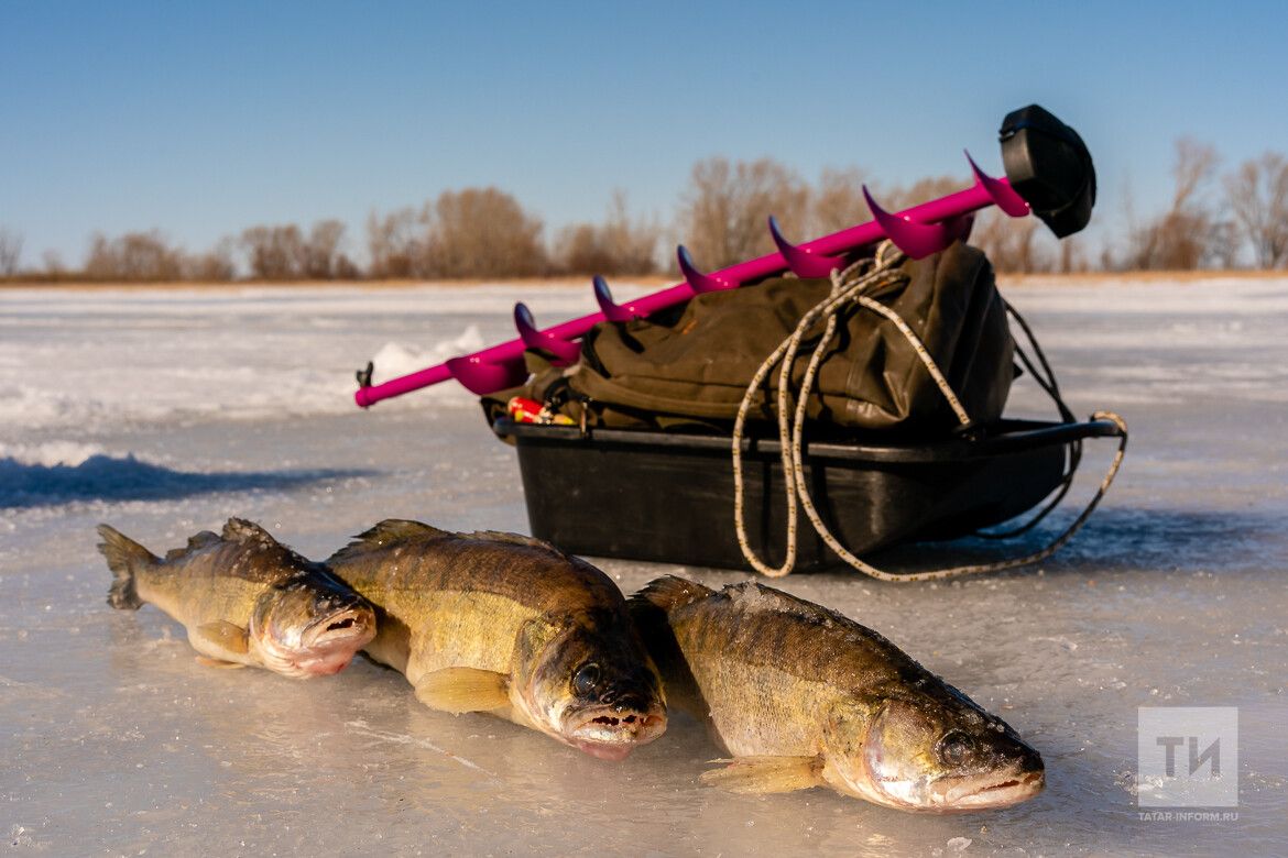 Бозга кергәнче уйла: кышын сулыкларда бәла саклый