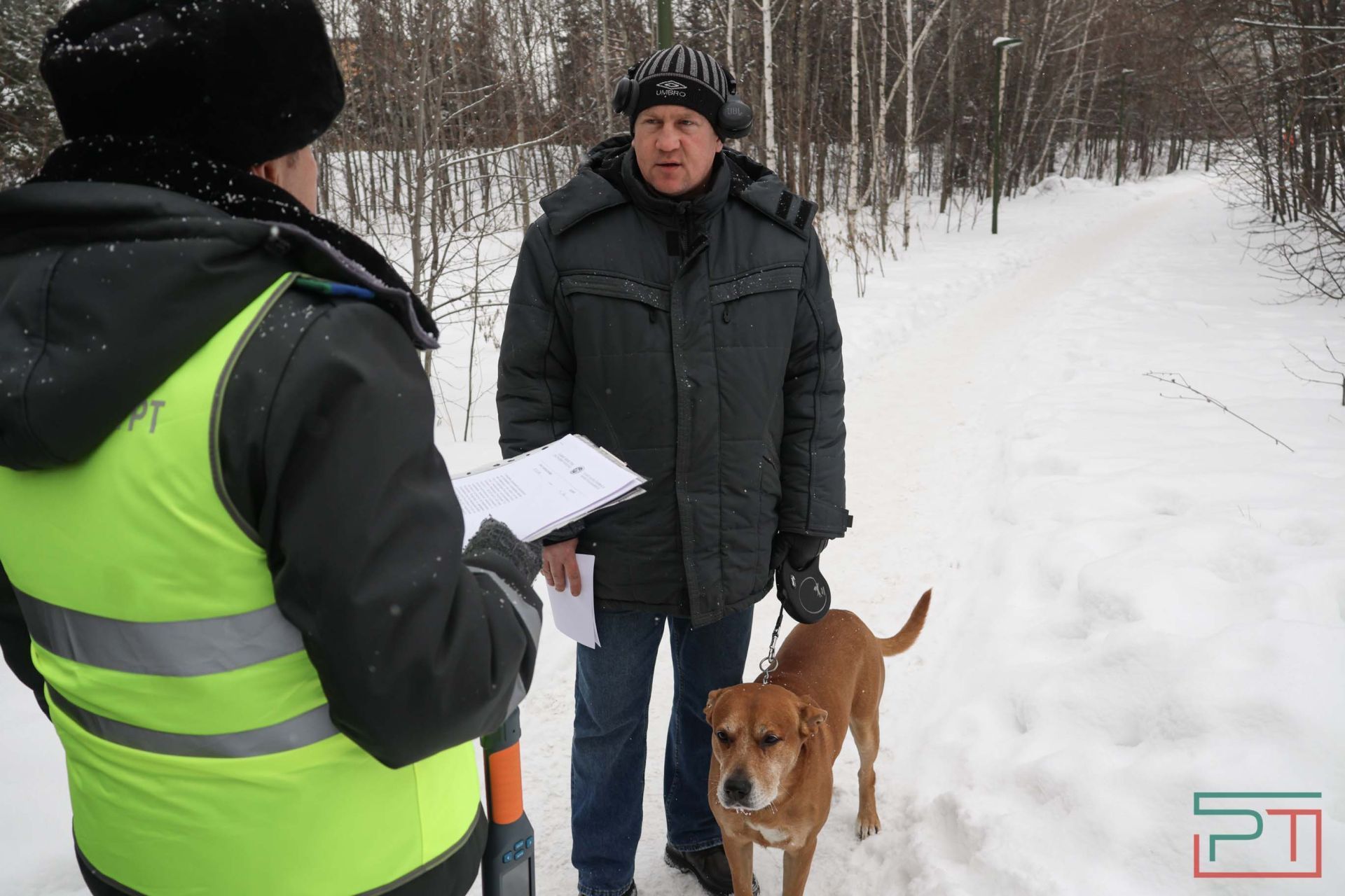 Этең теркәлгәнме: ветеринарлар тикшерүгә чыкты