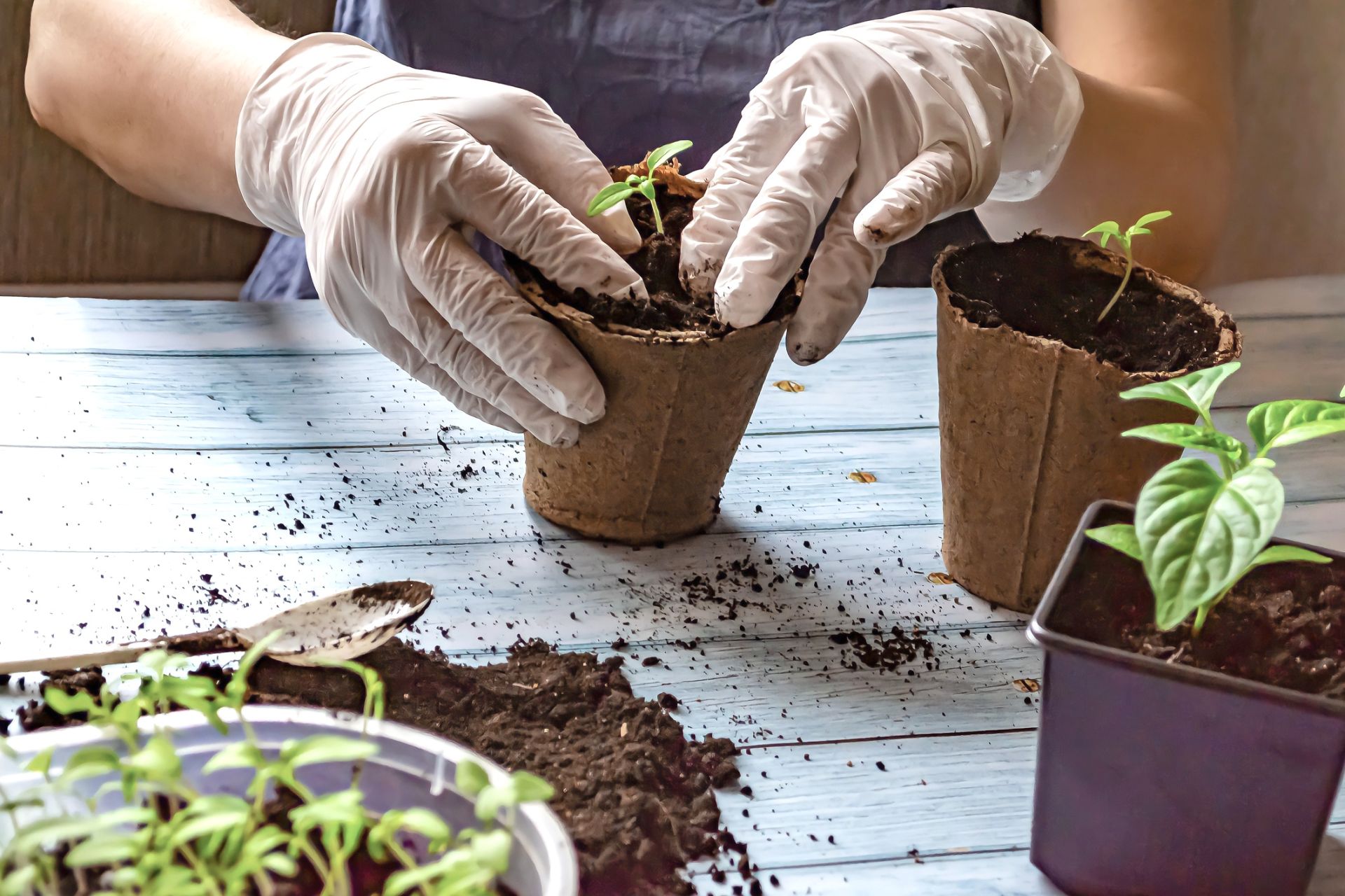 «Акыллы» бакча