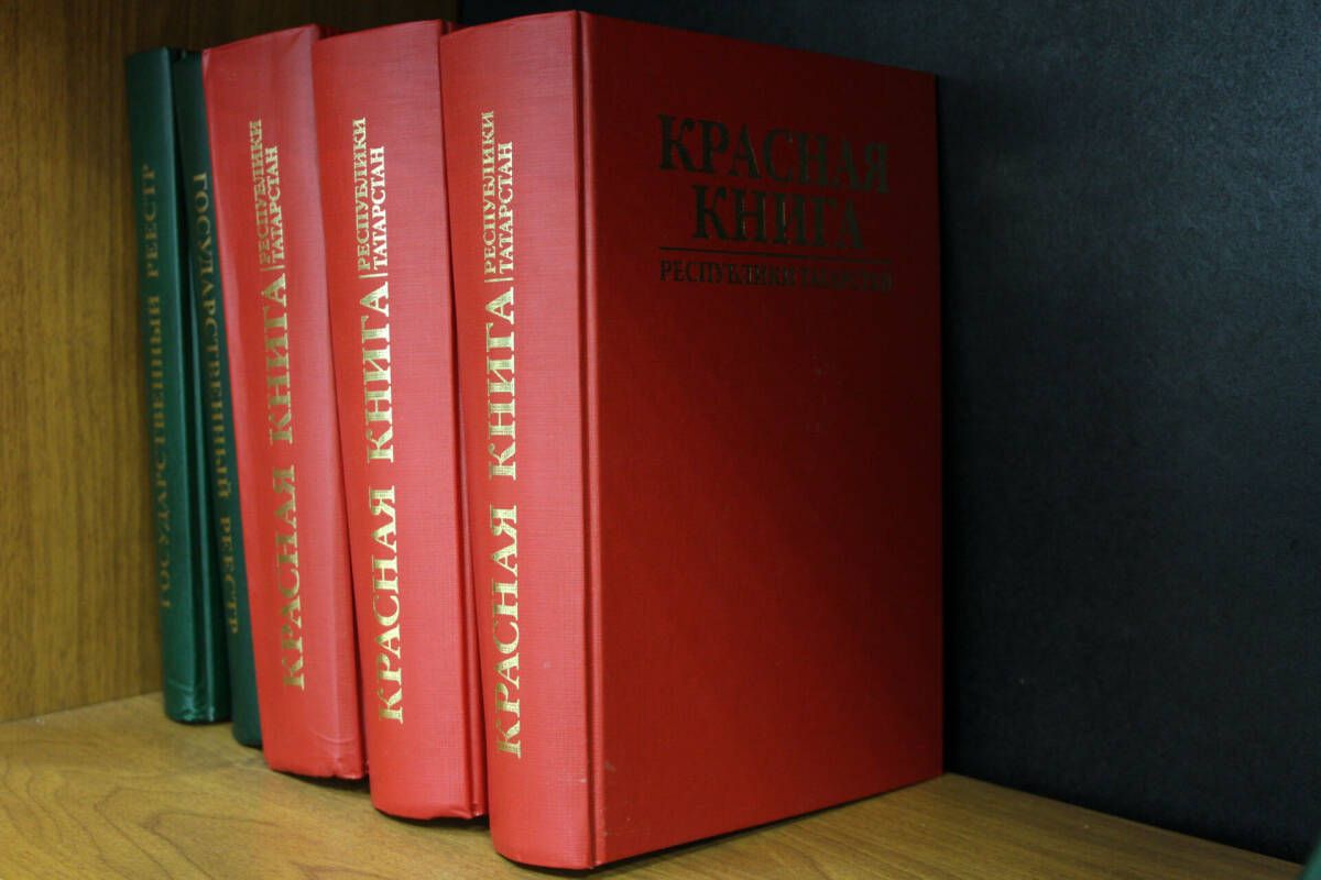 Берсе керә, икенчесе чыга: Татарстанның яңартылган Кызыл китабы дөнья күрде