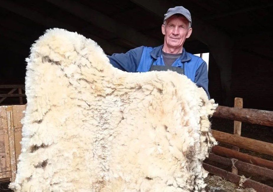 Бөртектән йөк җыела