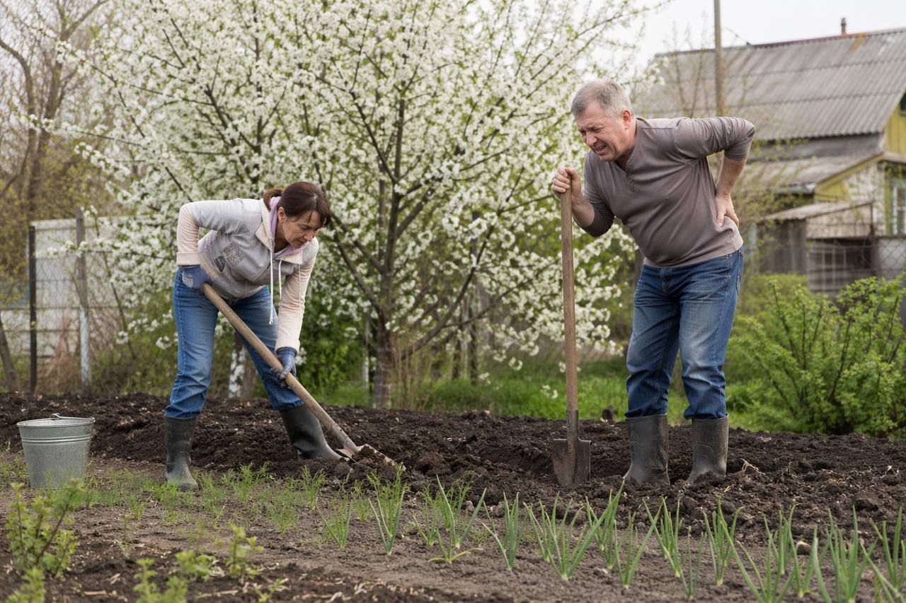 Бакча бәлагә әйләнмәсен, дисәң