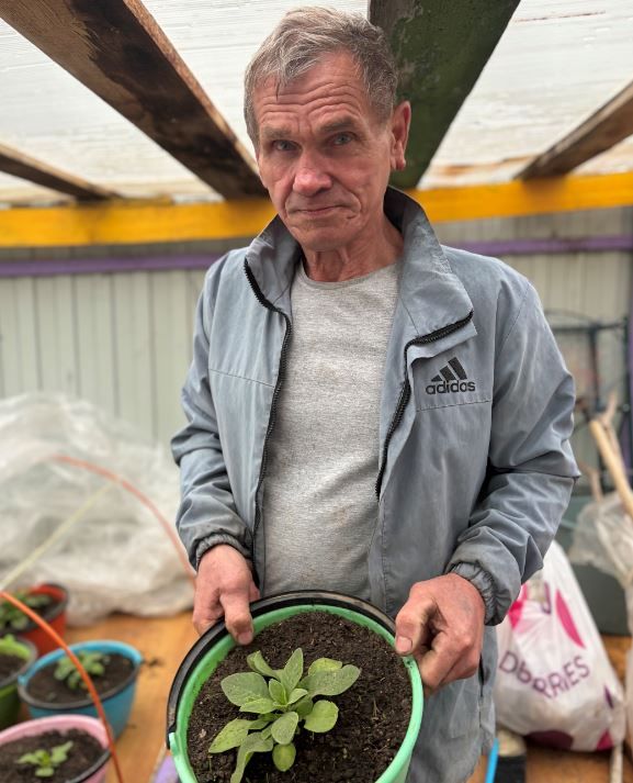 Чәчәкләр үстерүче Гомәр Насыйбуллин: «Хатынымның гөлләрен аның төсе итеп саклыйм»