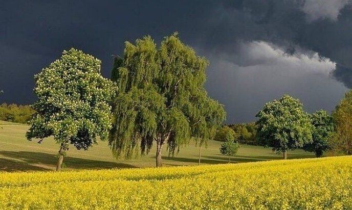 Һава торышы: 90 еллык күзәтү
