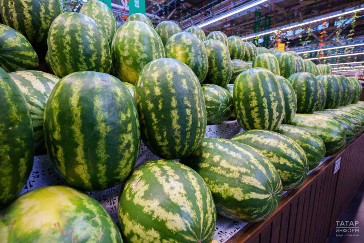 Роспотребнадзор вәкиле: «Кавын, карбызны юл буеннан сатып алмагыз»