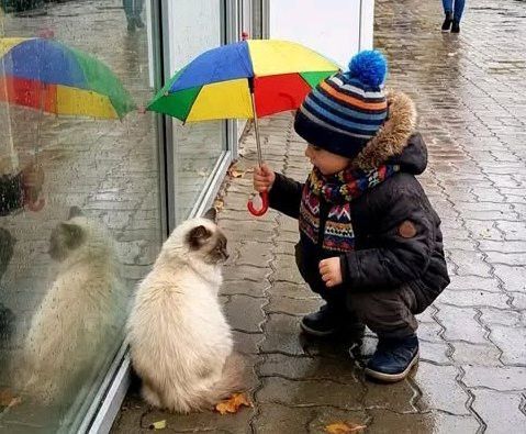 Йөрәктән – йөрәккә: ярдәмнең артыгы буламы?
