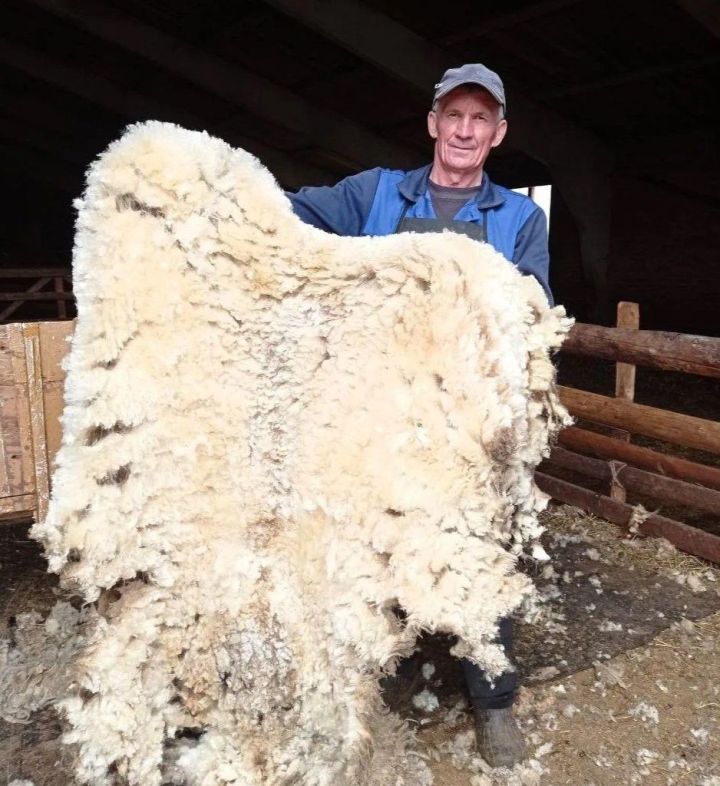 Бөртектән йөк җыела