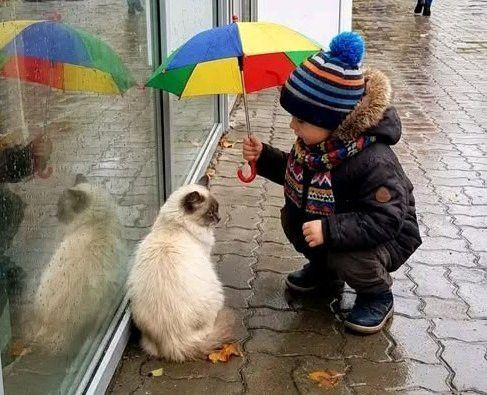 Йөрәктән – йөрәккә: ярдәмнең артыгы буламы?
