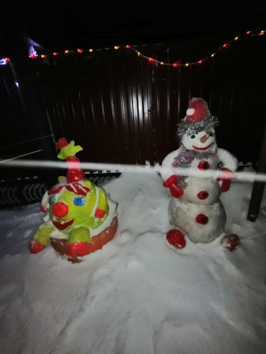 Өй каршында кардан 30дан артык сын ясаганнар ( ФОТО)