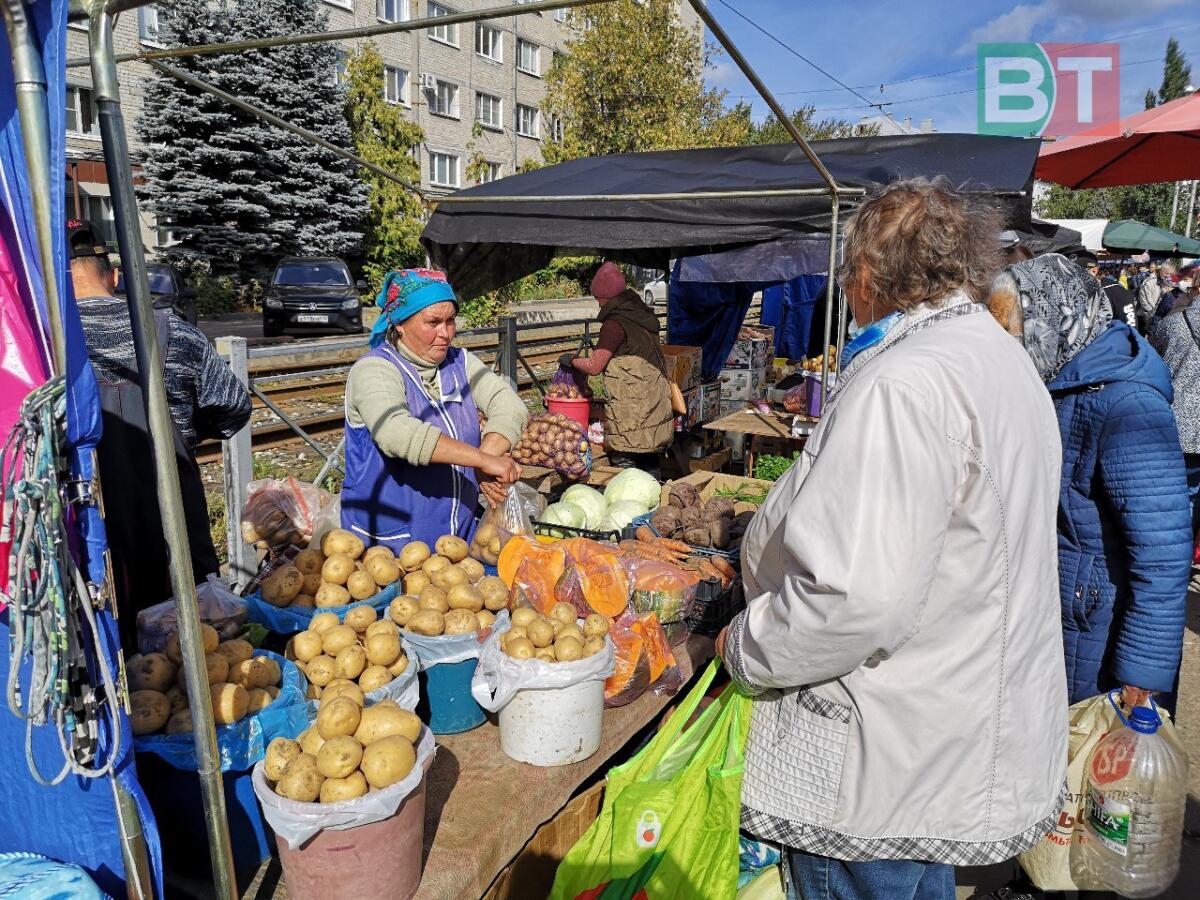 Казанда узган авыл хуҗалыгы ярминкәләренән ФОТОРЕПОРТАЖ