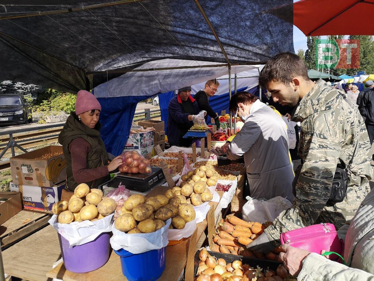 Казанда узган авыл хуҗалыгы ярминкәләренән ФОТОРЕПОРТАЖ