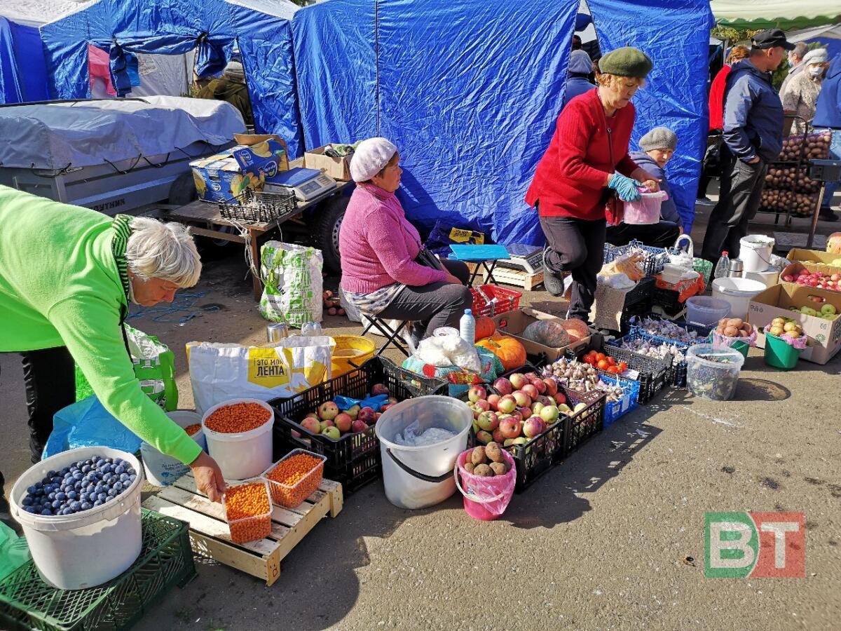 Казанда узган авыл хуҗалыгы ярминкәләренән ФОТОРЕПОРТАЖ