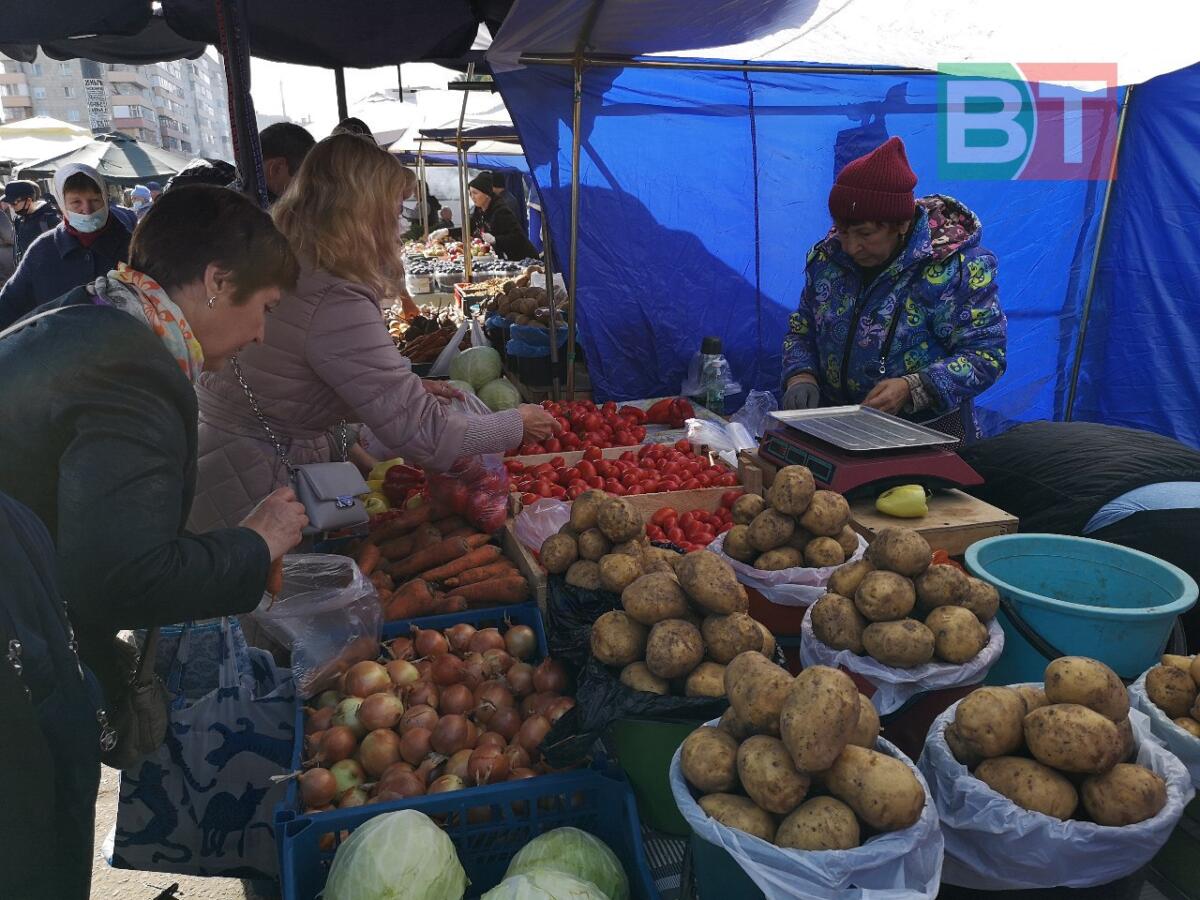 Казанда узган авыл хуҗалыгы ярминкәләренән ФОТОРЕПОРТАЖ