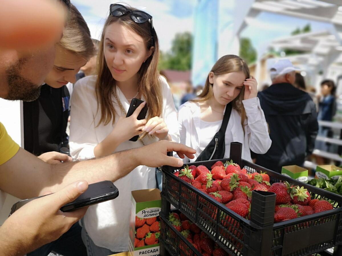 Казан Сабан туеннан ФОТОРЕПОРТАЖ