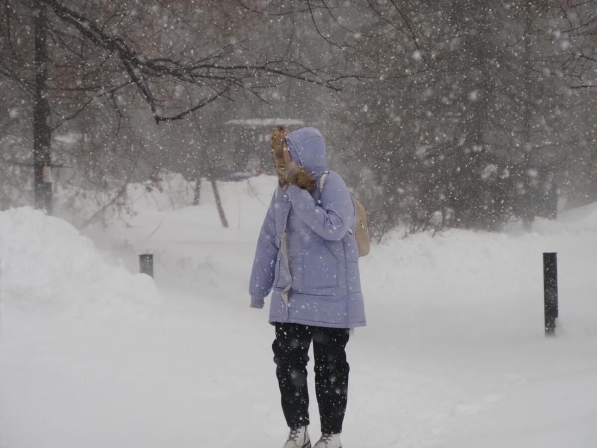 ФОТОРЕПОРТАЖ: Буран - "ВТ" объективында