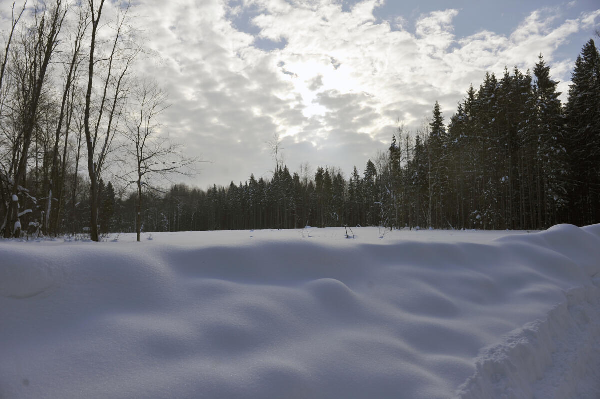 Намус эше: «ВТ» хәбәрчесе кышкы урманда җәнлекләр хәлен белеп кайтты