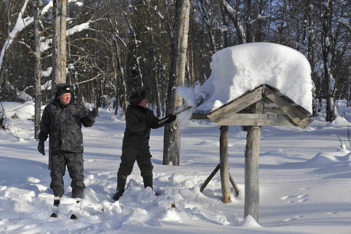 Намус эше: «ВТ» хәбәрчесе кышкы урманда җәнлекләр хәлен белеп кайтты