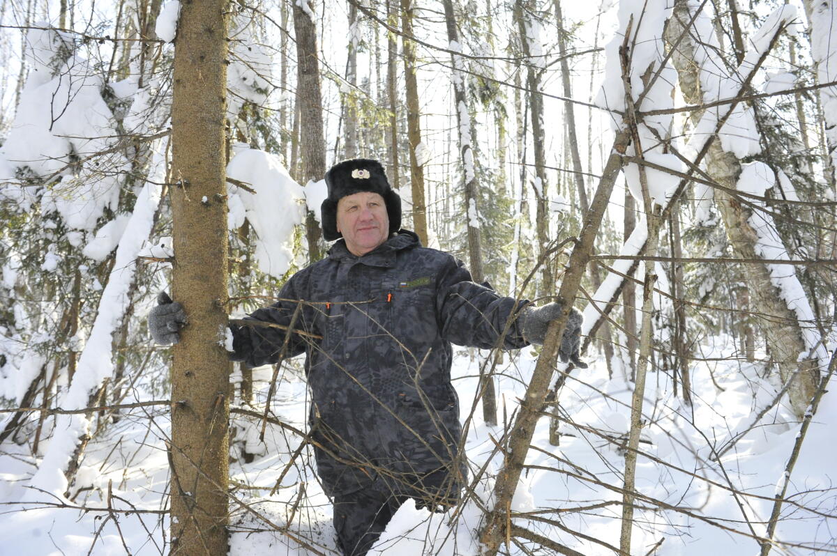 Намус эше: «ВТ» хәбәрчесе кышкы урманда җәнлекләр хәлен белеп кайтты