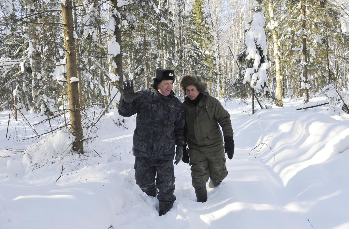 Намус эше: «ВТ» хәбәрчесе кышкы урманда җәнлекләр хәлен белеп кайтты