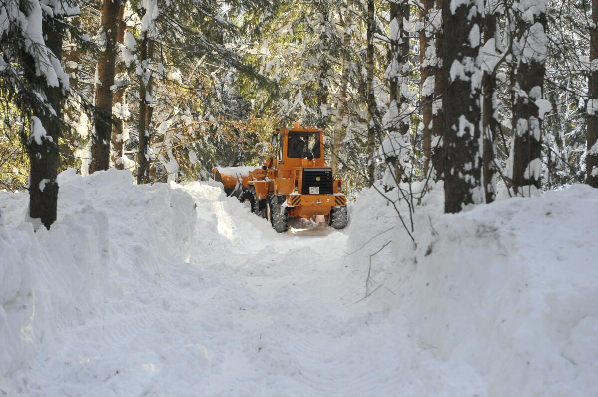 Намус эше: «ВТ» хәбәрчесе кышкы урманда җәнлекләр хәлен белеп кайтты