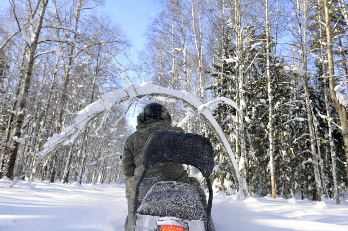 Намус эше: «ВТ» хәбәрчесе кышкы урманда җәнлекләр хәлен белеп кайтты