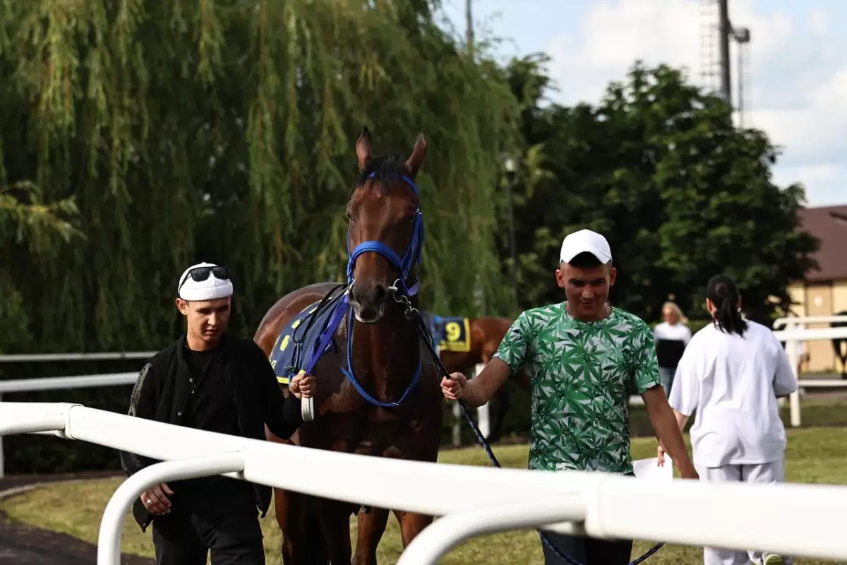 Казан Сабан туе кысаларында ипподромда уздырылган ат чабышларыннан ФОТОРЕПОРТАЖ