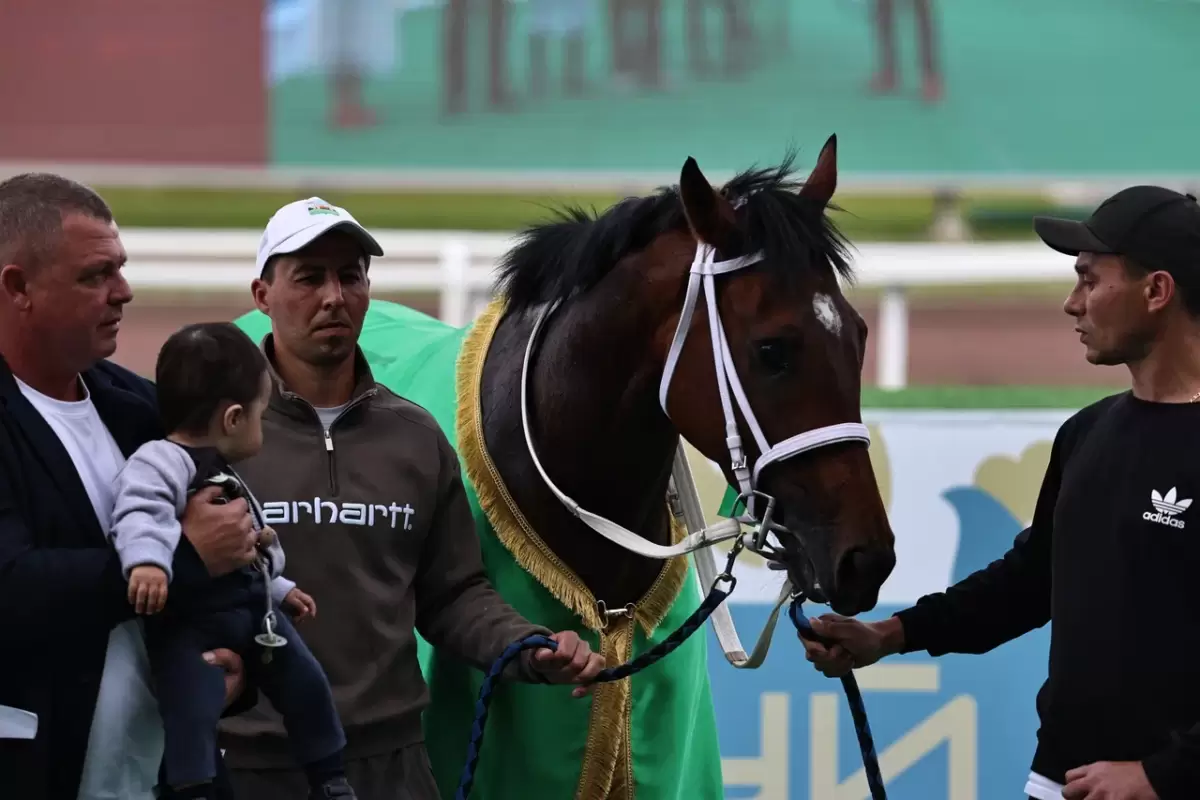 Казан Сабан туе кысаларында ипподромда уздырылган ат чабышларыннан ФОТОРЕПОРТАЖ