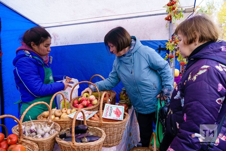 Йөргән аякка җим иярә: көзге ярминкәләр дәвам итә