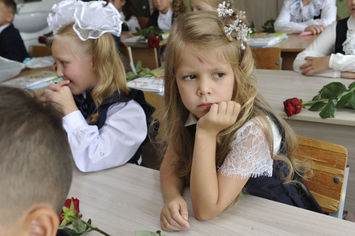 Унике итү: мәктәптә укуны озайту кирәкме?