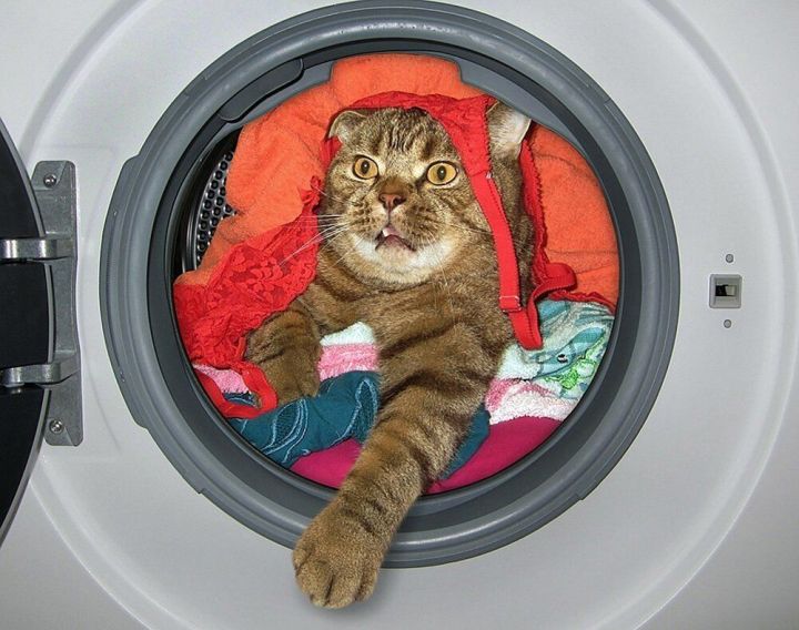 «Килен» озак эшләсен!