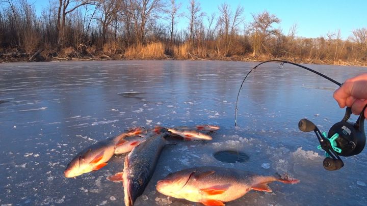 Ашлы кармак: Татарстанда балыкчылык тармагы ни хәлдә?