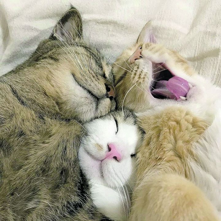 Йокың татлы булсын өчен...