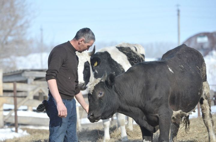 «Сәнәк һәм көрәк заманы узды»