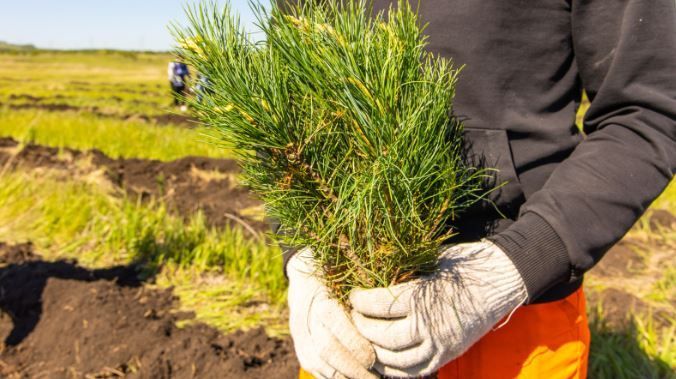 Елгаларга – акча, урманчыга – агач: табигать сакчылары узган елга нәтиҗә ясады