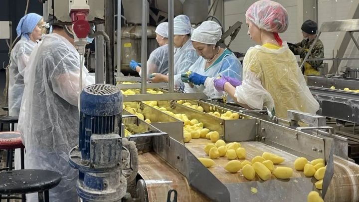 Республикада кооперативлар саны арткан