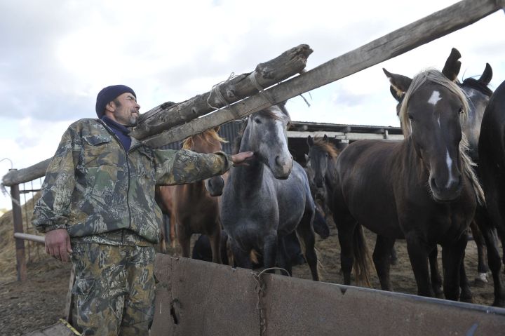 Марат Җәббаров: «Соңгы өч елда фермерлар җитештергән тулай продукция өлеше кимеде»