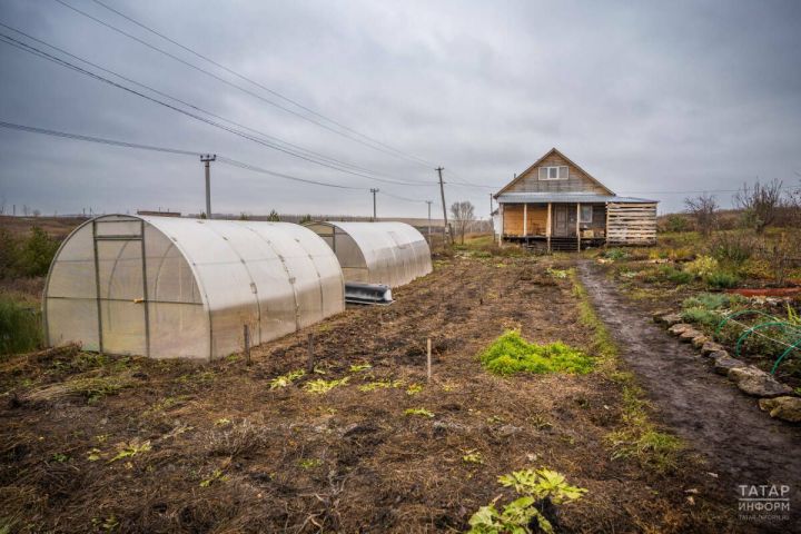 Чиста булсын: агроном Хәким Моратов теплицаны  кышка әзерләү буенча киңәшләр