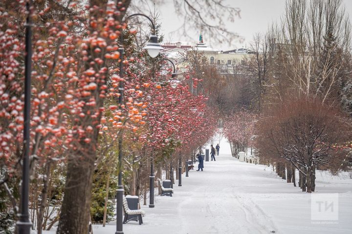 Февраль үзгәрешләре: яңа кагыйдәләр үз көченә керә