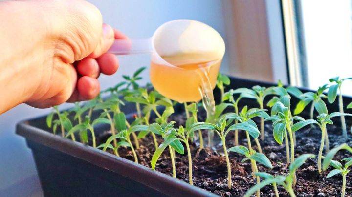 Гәрәбә серен беләм