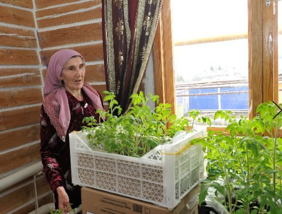 Ә сез утырттыгызмы әле? Бакчачыларның хәлләрен белештек