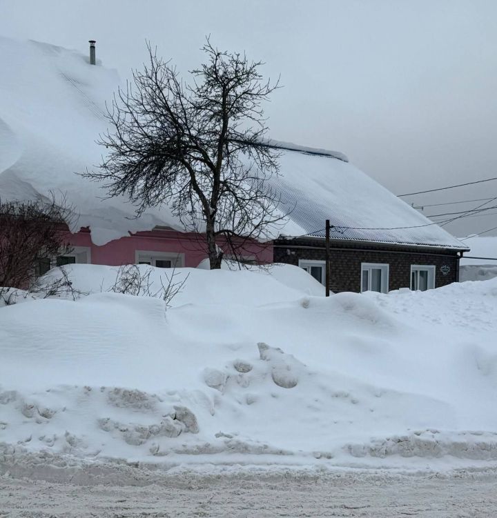 Кышны ничек чыктыгыз?