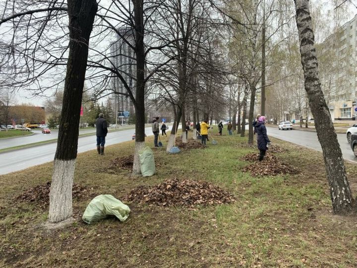 Капка төбенә чыгу: Татарстанда чистарту икеайлыгы дәвам итә