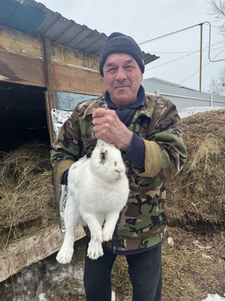 Куян тотсаң – куеның тулыр