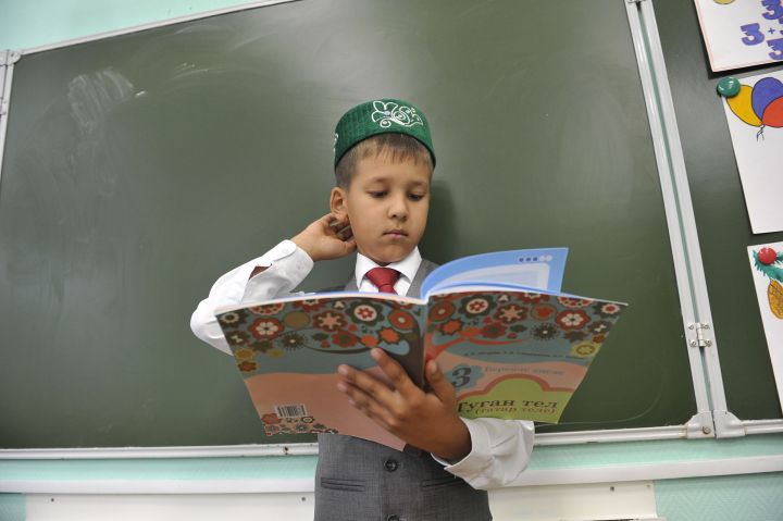 Намус эше: мәктәпләрдә туган телне укытуга мөнәсәбәт нинди?