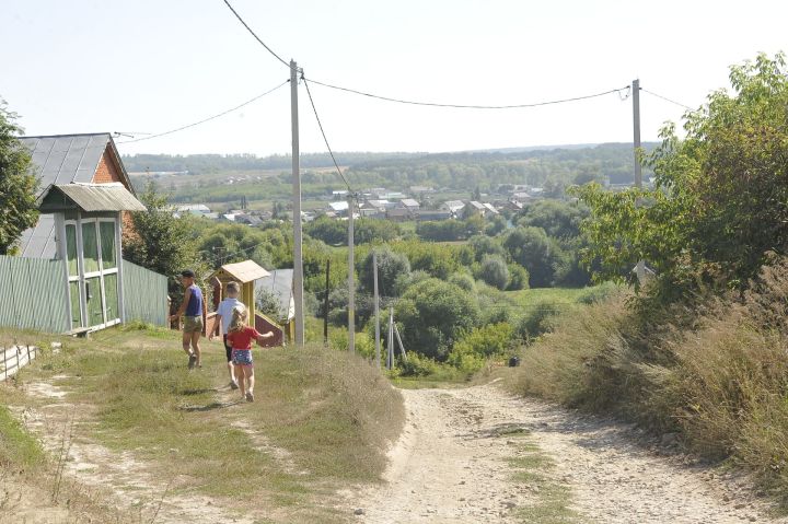 Кала кешесе салада нәрсә эзли?