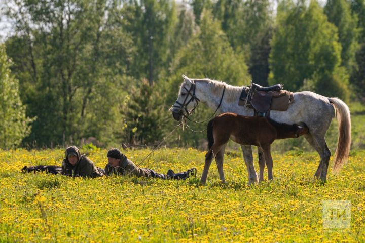 «Алар алтынга тиң замана»: «ВТ» журналисты чыбыркылы көтүчесе булган авылларны эзләде